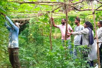 भैयालाल और पूजा विविध फ़सलें उगा रहे हैं, मिट्टी की सेहत सुधार रहे हैं और टिकाऊ खेती के अपने अनुभव गाँव के अन्य किसानों से साझा कर रहे हैं.