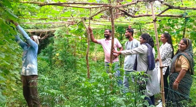 भैयालाल और पूजा विविध फ़सलें उगा रहे हैं, मिट्टी की सेहत सुधार रहे हैं और टिकाऊ खेती के अपने अनुभव गाँव के अन्य किसानों से साझा कर रहे हैं.