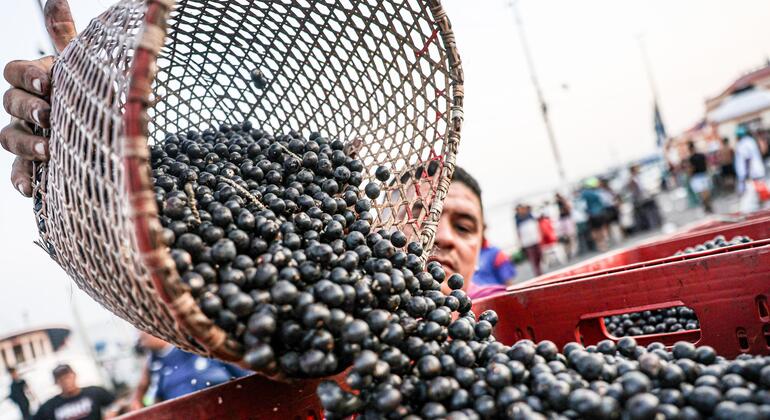 América Latina busca convertir su potencial agroalimentario en inversiones para el campo
