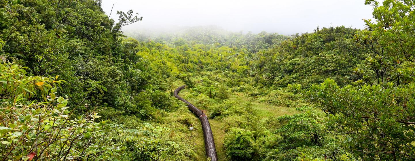 A long, dark geothermal pipe winds through a lush, green, mountainous valley in Dominica.