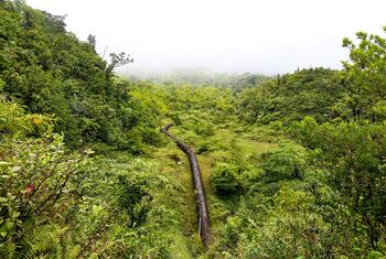 Un largo y oscuro conducto geotérmico serpentea a través de un valle montañoso, exuberante y verde en Dominica.