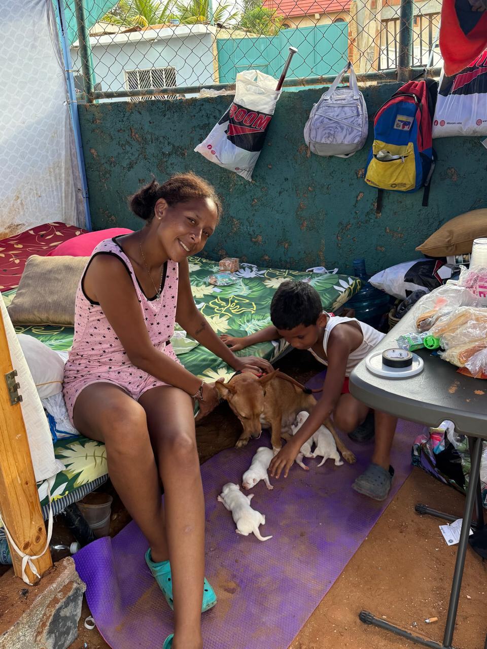 Una mujer y un niño pequeño interactúan con una perra madre y sus cachorros dentro de un refugio improvisado en Venezuela.