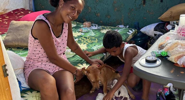 A woman and a young boy interact with a mother dog and her puppies inside a makeshift shelter in Venezuela.