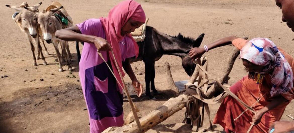 امرأتان عند بئر ماء في منطقة قاحلة، مع وجود حمير في الجوار.