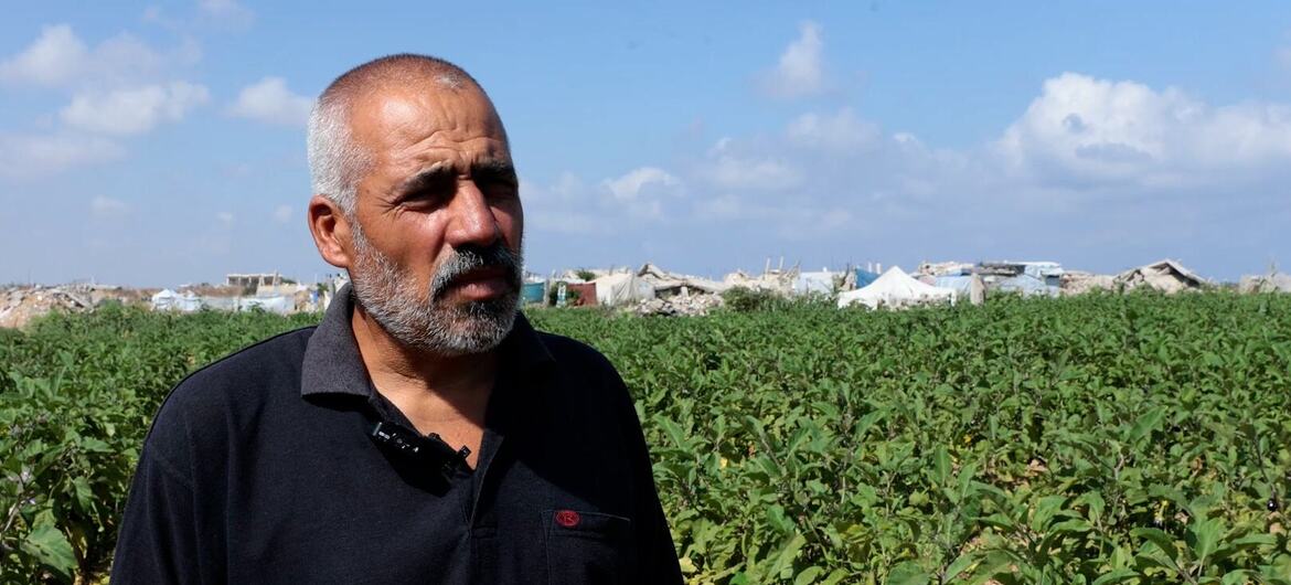 يقف المزارع الفلسطيني تيسير دحدوح في حقل من المحاصيل على أرضه التي تم تأهيلها في غزة.