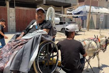 رجل فلسطيني مسن على كرسي متحرك يجلس على عربة يجرها حمار في خان يونس، غزة، أثناء نقله إلى مركز غسيل الكلى.