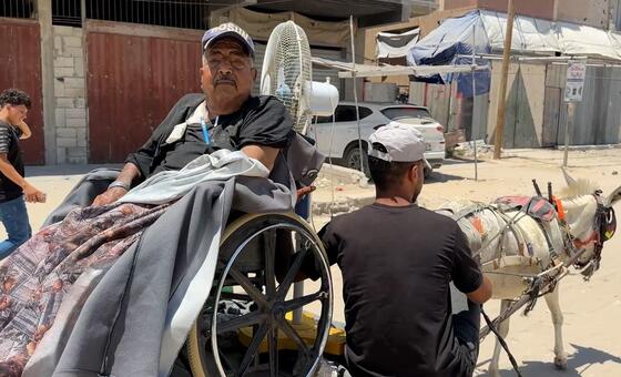 مرضى غسيل الكلى في غزة.. رحلة شاقة بعربة يجرها حمار للوصول إلى المستشفى