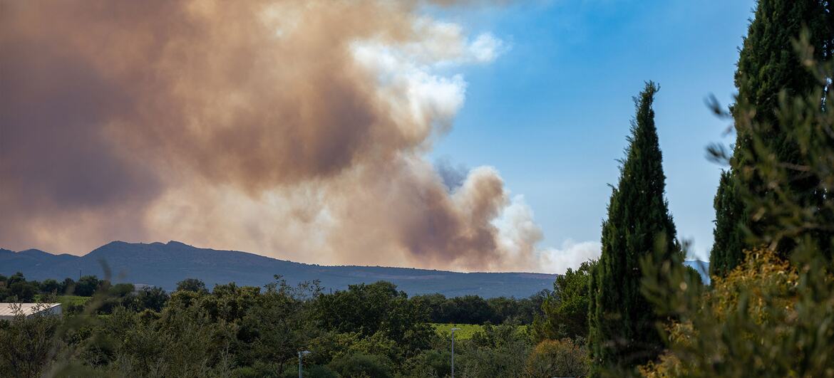 Smoke from the Trévillach wildfire rises behind Mediterranean hills and cypress trees near Perpignan, Pyrénées-Orientales, France.