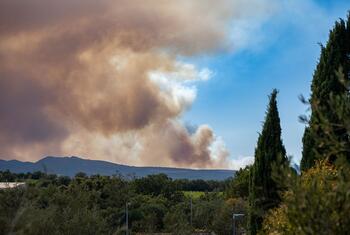 El humo del incendio forestal de Trévillach se eleva tras las colinas mediterráneas y los cipreses cerca de Perpiñán, en los Pirineos Orientales, Francia.