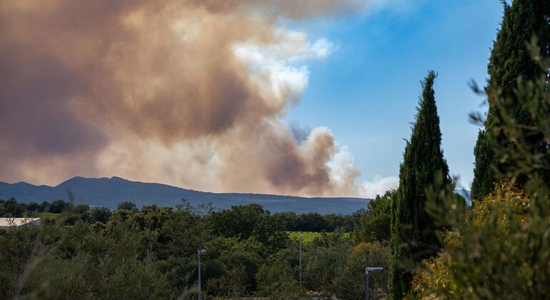 El humo del incendio forestal de Trévillach se eleva tras las colinas mediterráneas y los cipreses cerca de Perpiñán, en los Pirineos Orientales, Francia.