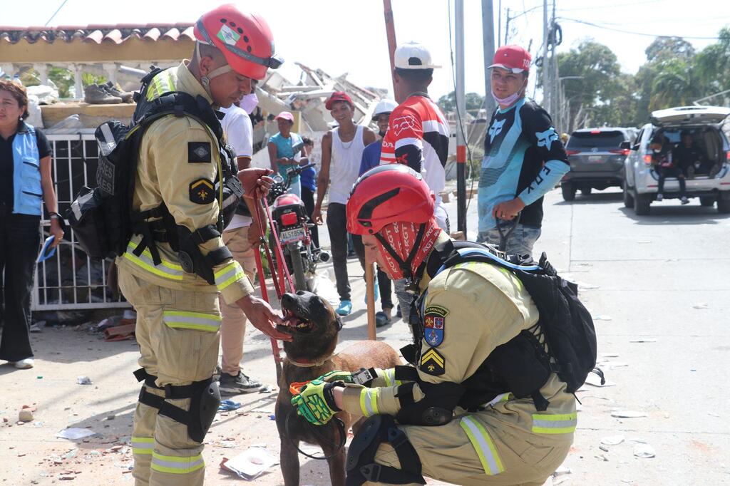 Dos bomberos con equipo de protección atienden a un perro entre los escombros de un edificio dañado, con curiosos y vehículos al fondo.
