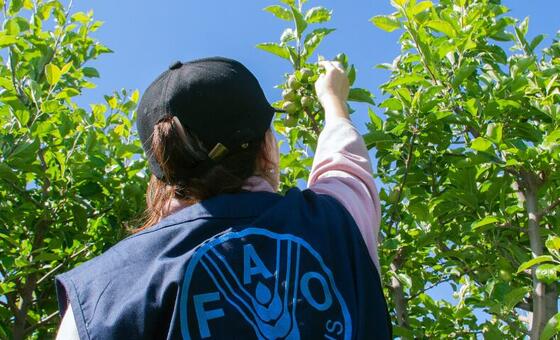 Kazakhstan's New Agricultural Projects Could Change Global Food Security