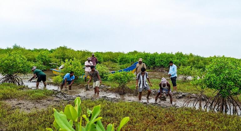 Africans bear the brunt of biodiversity loss