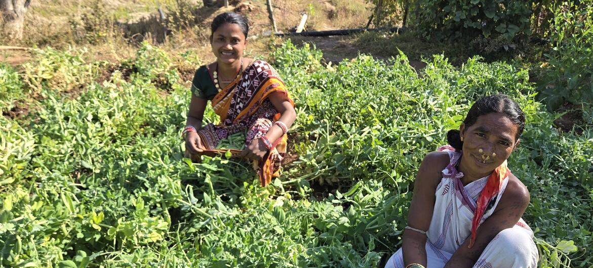वर्ष 2024 में अमारा और लक्ष्मी को UNDP की विकेन्द्रीकृत नवीकरणीय ऊर्जा (DRE) पहल के लाभार्थियों के रूप में चुना गया.
