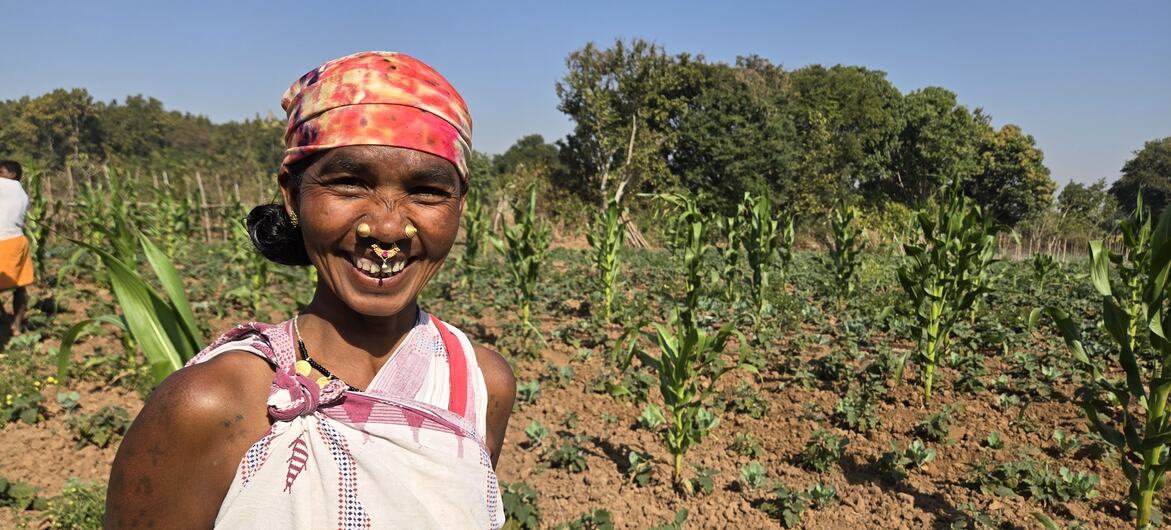 सौर सिंचाई, भारत के ओडिशा राज्य में महिला किसानों के लिए खेती के नए अवसर पैदा कर रही है.
