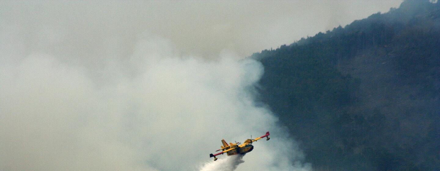 Un avion bombardier d'eau jaune largue une grande quantité d'eau ou de retardant sur un incendie de forêt enfumé.