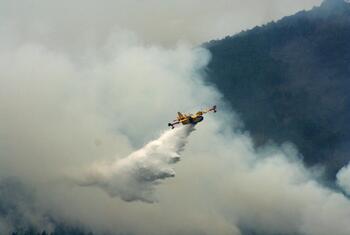 Un avión amarillo de extinción de incendios arroja un gran volumen de agua o retardante sobre un incendio forestal que produce mucho humo.