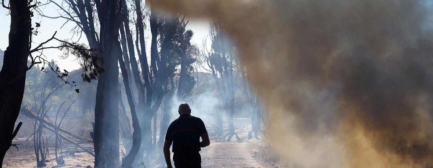 Un bombero camina por una zona llena de humo y árboles quemados tras un incendio forestal en Ille-sur-Tet, Francia.