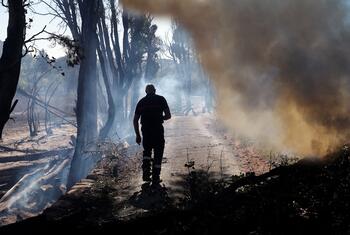 Un bombero camina por una zona llena de humo y árboles quemados tras un incendio forestal en Ille-sur-Tet, Francia.