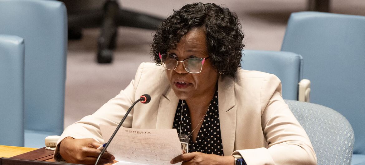 Lilian Riziq prend la parole au Conseil de sécurité de ONU .