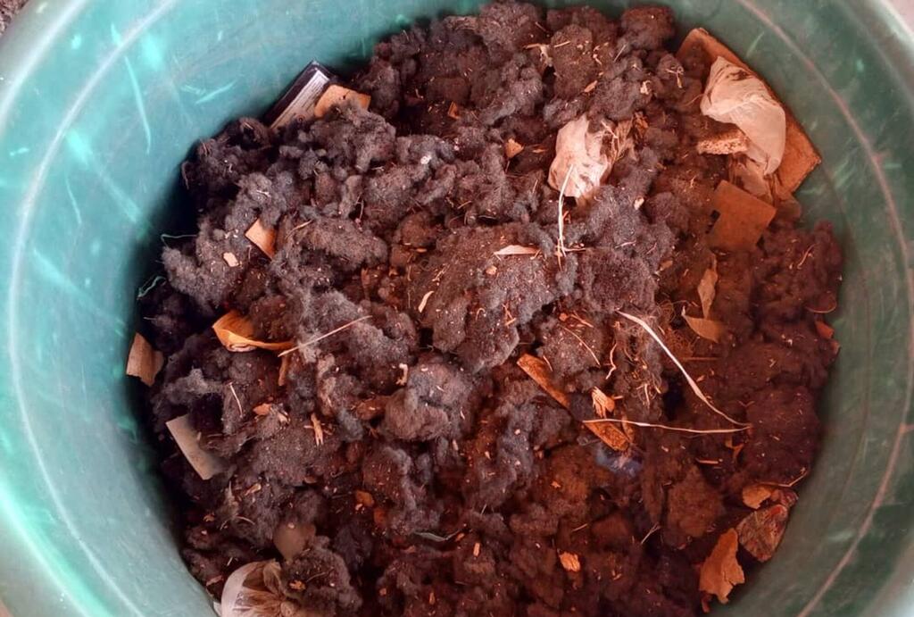 Mwonekano wa juu wa ndoo ya plastiki ya kijani iliyojaa samadi nyeusi na yenye mabunda ya kikaboni iliyochanganywa na vipande vya nywele za binadamu na vifaa vingine vya kikaboni vya kahawia.