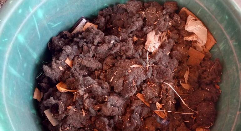 Mwonekano wa juu wa ndoo ya plastiki ya kijani iliyojaa samadi nyeusi na yenye mabunda ya kikaboni iliyochanganywa na vipande vya nywele za binadamu na vifaa vingine vya kikaboni vya kahawia.