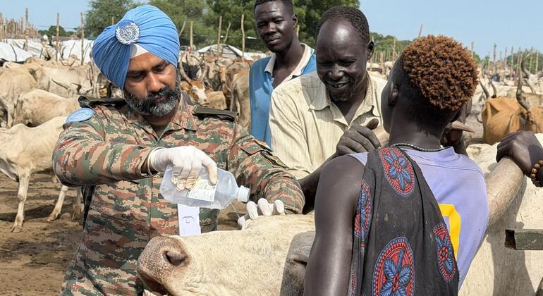 UNMISS peacekeepers from India transform livestock health and rural livelihoods in Jonglei, South Sudan.