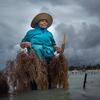 17-08-2026_UN_Tanzania_Women_Seaweed_Farmers (AaAO_Tmg_6RXmc6tQmOD)