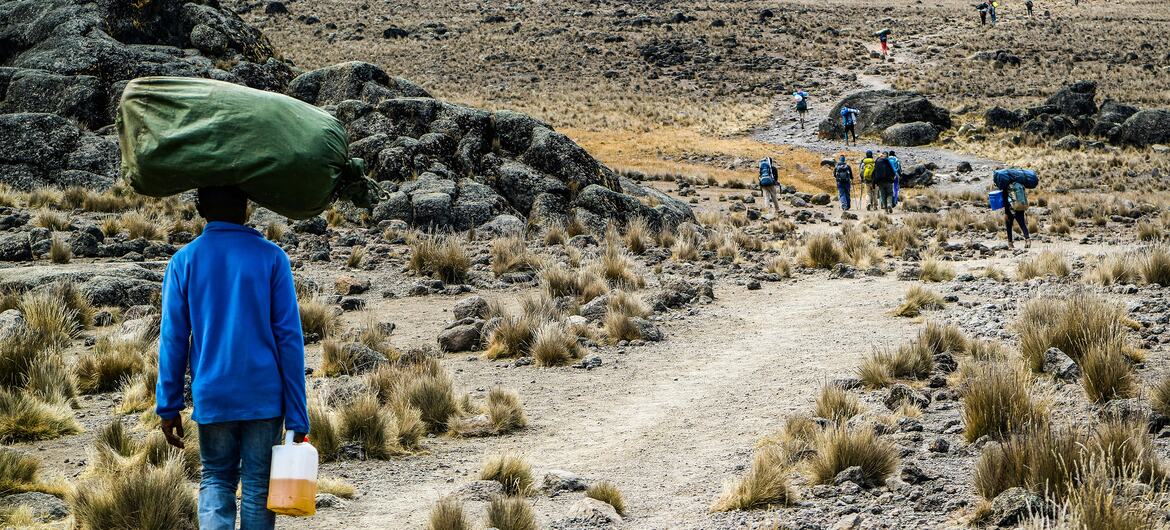Un porteador que carga una gran mochila verde y un contenedor camina por un sendero detrás de un grupo de excursionistas que ascienden al monte Kilimanjaro en Tanzania.