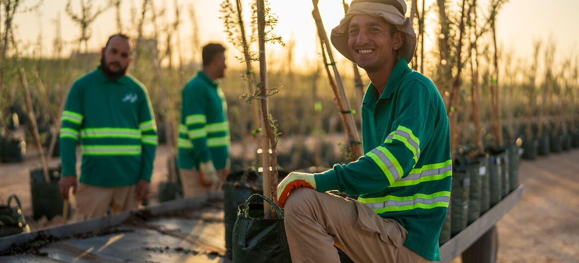 A smiling male nursery worker in a green high-visibility uniform and bucket hat sits on a flatbed truck loaded with potted young trees at a Green Riyadh nursery in Saudi Arabia during sunset, while two colleagues stand among rows of saplings in the background.