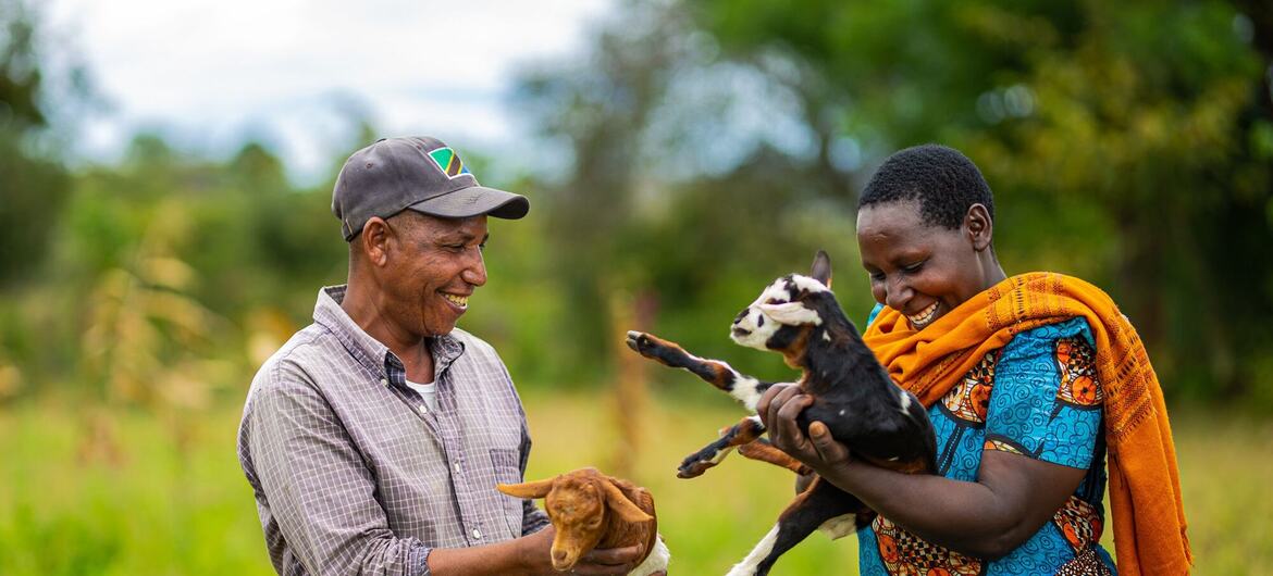 Um homem e uma mulher tanzanianos sorriem em um campo verde, cada um segurando um cabrito.