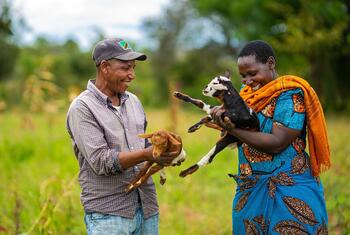 Um homem e uma mulher tanzanianos sorriem em um campo verde, cada um segurando um cabrito.