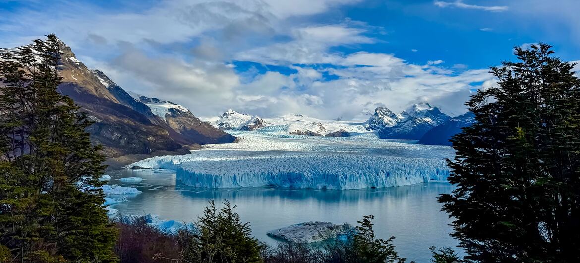 A large blue glacier front extends across a calm lake beneath snow-capped mountains and a partly cloudy sky, framed by evergreen trees.