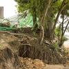 Severe riverbank collapse exposes tangled tree roots and threatens a building shielded by green mesh netting along a sandy shoreline, with open water and a distant city skyline visible in the background.