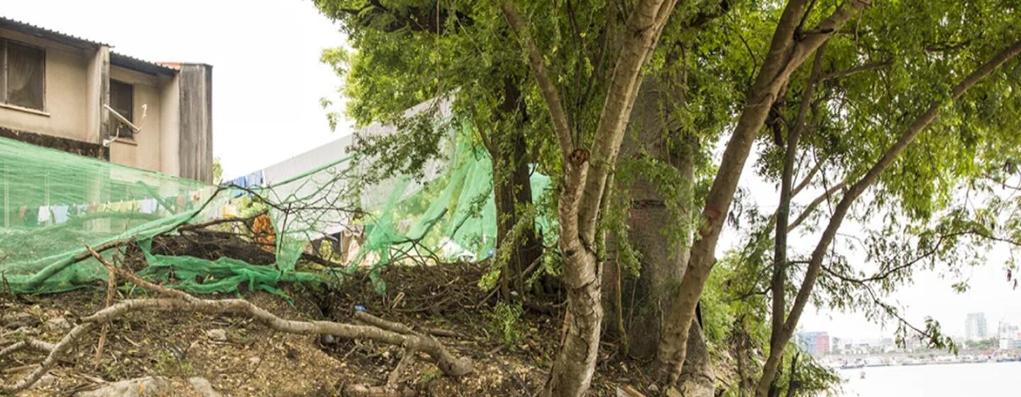 Severe riverbank collapse exposes tangled tree roots and threatens a building shielded by green mesh netting along a sandy shoreline, with open water and a distant city skyline visible in the background.