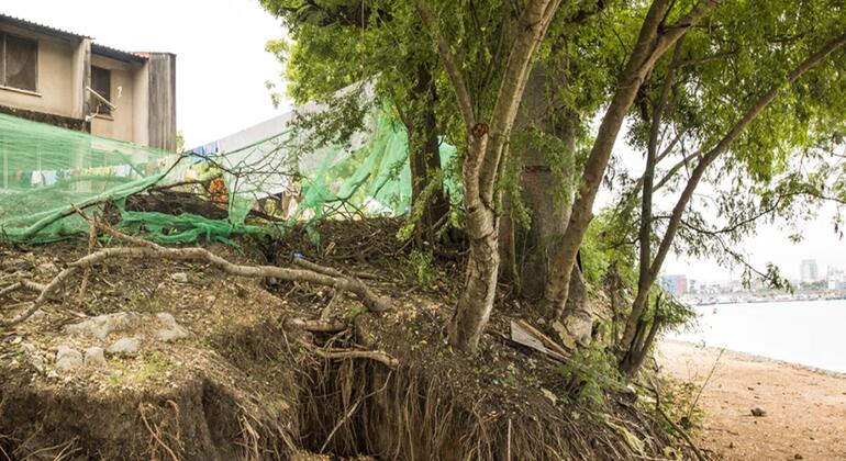 Severe riverbank collapse exposes tangled tree roots and threatens a building shielded by green mesh netting along a sandy shoreline, with open water and a distant city skyline visible in the background.