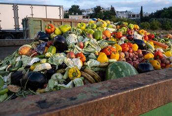 A large metal container is filled with discarded produce including peppers, eggplants, cabbages, bananas, watermelon, tomatoes, potatoes, and carrots, with a truck in the background.