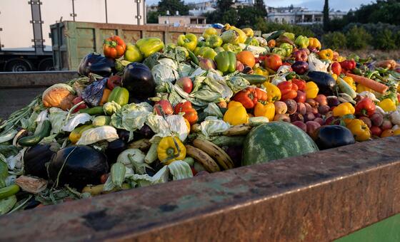 Clean your plate – to reduce food loss and waste