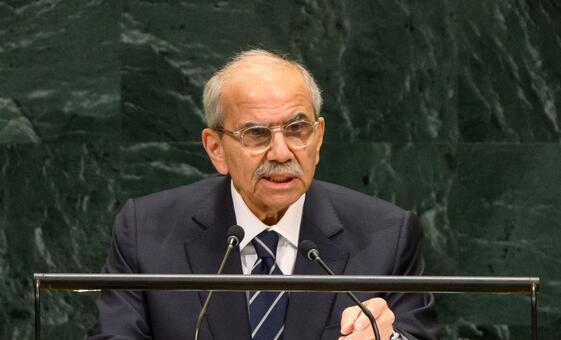 ‘No one speaks on behalf of Lebanon’: PM Salam asserts State authority at UN