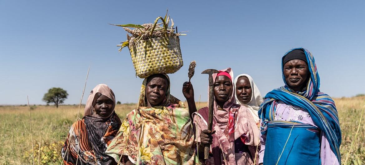 Five women in colorful headscarves and patterned wraps stand in a dry grassland; one balances a woven basket of sorghum on her head while another holds a sickle and a grain stalk.