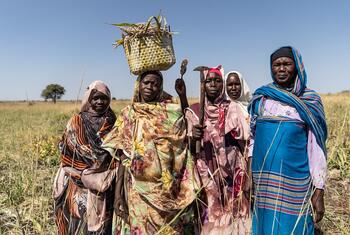 Five women in colorful headscarves and patterned wraps stand in a dry grassland; one balances a woven basket of sorghum on her head while another holds a sickle and a grain stalk.