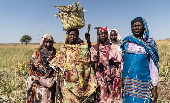 Sudan’s farmers are ready to return – private investment could get them there