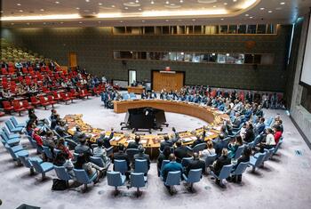 Les délégués du Conseil de sécurité de ONU , assis à la table en forme de fer à cheval, lèvent la main pour voter lors d'une session dans la salle du Conseil à New York.