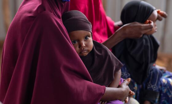 Somali families face renewed violence amid worsening hunger crisis