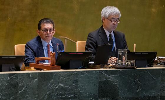 UN Member States weigh latest Security Council veto, this time on Iran