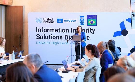 Collective action needed to tackle global information crisis, UN-led dialogue hears