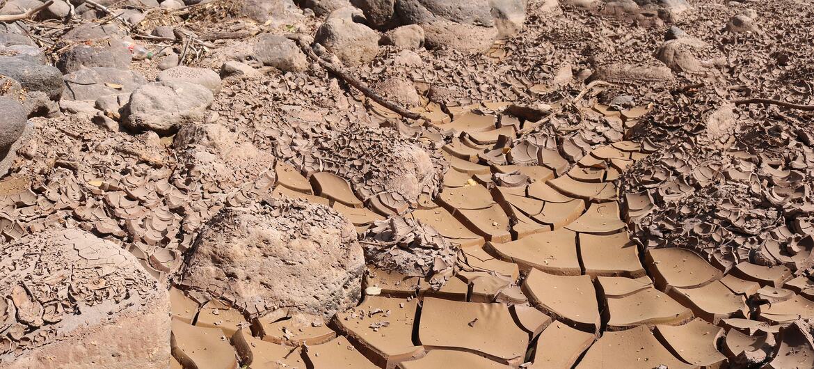 Tierra agrietada y seca en el antiguo lecho de un río en el Corredor Seco de Honduras durante una sequía provocada por El Niño.