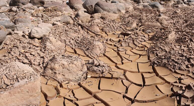 Onu Library El Niño pourrait atteindre une intensité jamais observée | ONU Info