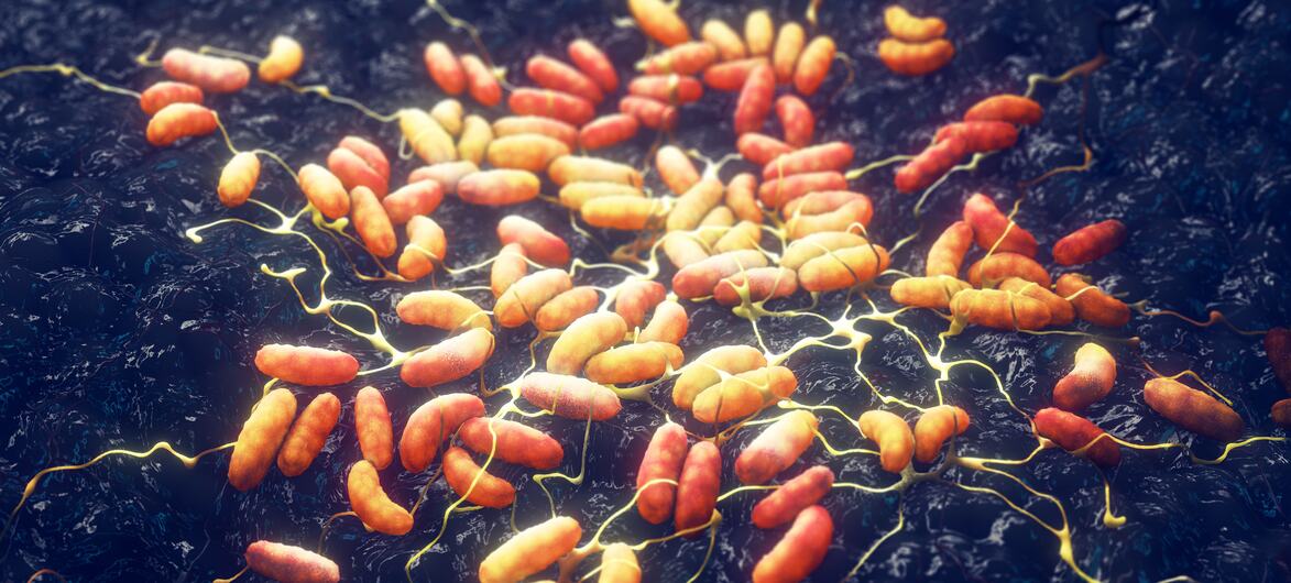 Three-dimensional medical illustration of orange and red rod-shaped Yersinia pestis plague bacteria scattered across a dark blue textured surface with thin yellow filament strands.