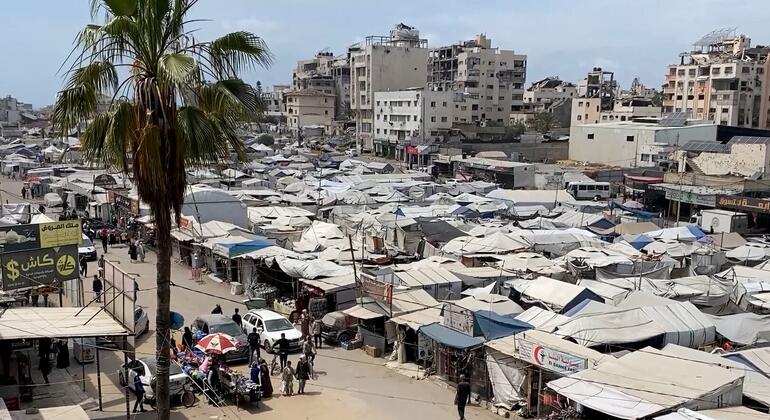 الأمم المتحدة تقدم الدعم الإنساني لنازحين جدد في الضفة الغربية وغزة